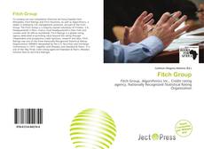 Fitch Group kitap kapağı