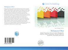 Bookcover of Multipactor Effect