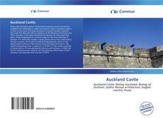 Bookcover of Auckland Castle