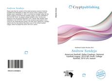 Andrew Sendejo kitap kapağı