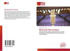 Danny & the Juniors kitap kapağı