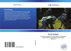 Brad Badger kitap kapağı