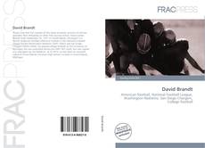 Buchcover von David Brandt