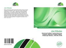 Joe Cibulas kitap kapağı
