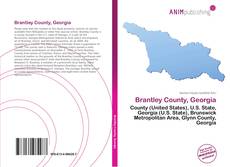 Brantley County, Georgia kitap kapağı