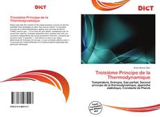 Buchcover von Troisième Principe de la Thermodynamique
