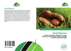 Bookcover of Andy Blignaut