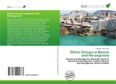 Portada del libro de Ethnic Groups in Bosnia and Herzegovina