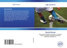 Bookcover of David Amoo