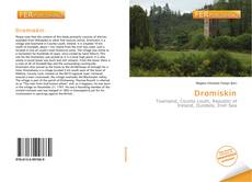 Bookcover of Dromiskin