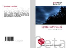 Sambucus Peruviana kitap kapağı