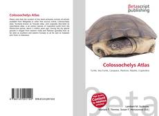 Colossochelys Atlas kitap kapağı