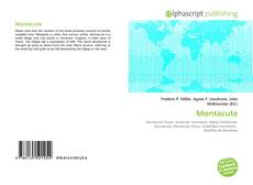 Portada del libro de Montacute
