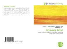 Portada del libro de Mynydd y Betws