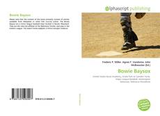 Couverture de Bowie Baysox