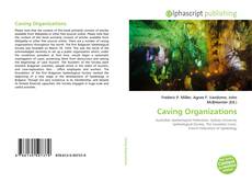 Capa do livro de Caving Organizations 