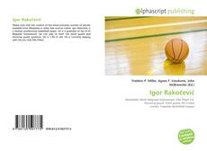 Igor Rakočević的封面