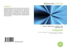 Portada del libro de Llangeinor