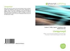 Borítókép a  Llangynwyd - hoz