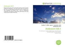 Couverture de Ambrosini SAI.1