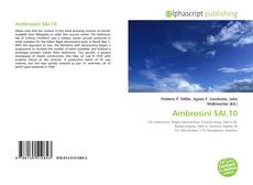 Ambrosini SAI.10的封面