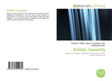 Brithdir, Caerphilly的封面