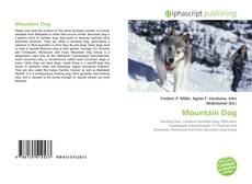 Mountain Dog的封面