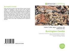 Borítókép a  Burrington Combe - hoz