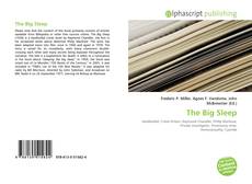 The Big Sleep的封面