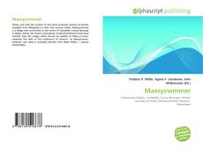 Borítókép a  Maesycwmmer - hoz