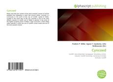 Borítókép a  Cyncoed - hoz
