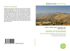 Borítókép a  Battle of Gulnabad - hoz