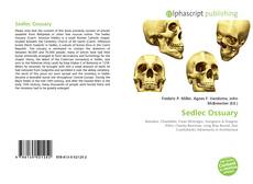 Borítókép a  Sedlec Ossuary - hoz