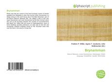 Borítókép a  Brynamman - hoz