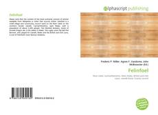 Borítókép a  Felinfoel - hoz