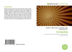 Borítókép a  Llangadog - hoz