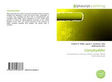 Borítókép a  Llanybydder - hoz