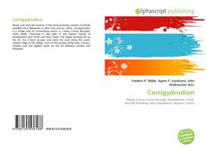 Borítókép a  Cerrigydrudion - hoz