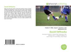 Borítókép a  David Střihavka - hoz