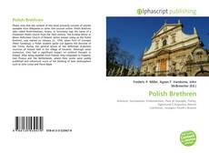 Bookcover of Polish Brethren