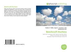 Beechcraft Duchess的封面