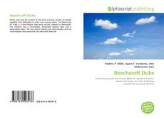 Beechcraft Duke的封面