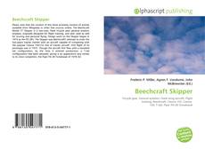 Beechcraft Skipper的封面