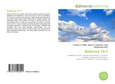 Bellanca 14-7的封面