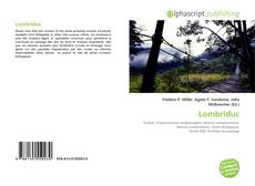 Buchcover von Lombriduc
