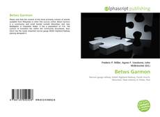 Betws Garmon的封面