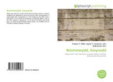 Borítókép a  Bontnewydd, Gwynedd - hoz
