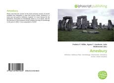 Borítókép a  Amesbury - hoz
