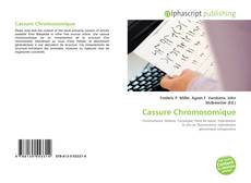 Cassure Chromosomique的封面