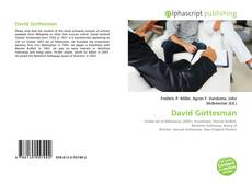 Обложка David Gottesman
